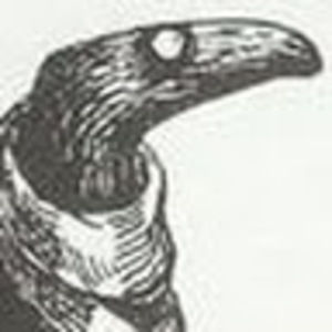 Meet your Posher, Darcy-devin